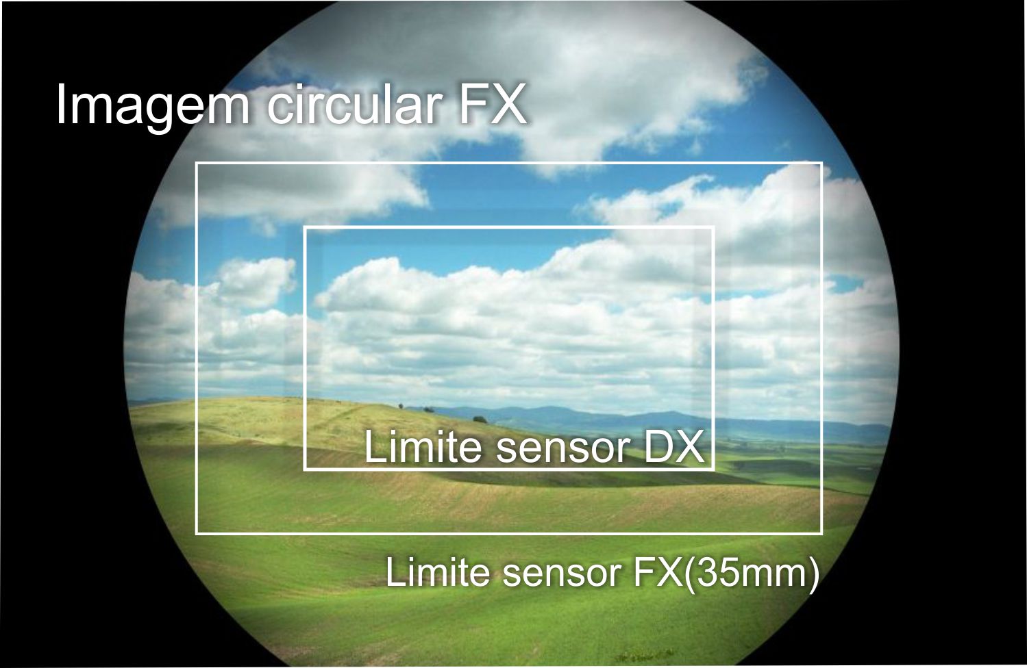 sensor FX2